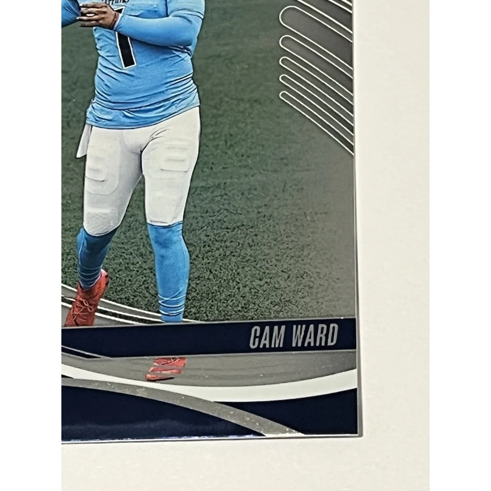Panini this 2025